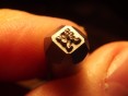 Stamp Punch Lion 4,5 x 5,6 mm